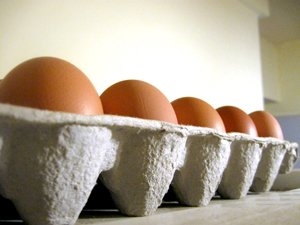 Фотография предоставлена сайтом www.morguefile.com Фотография предоставлена сайтом www.morguefile.com