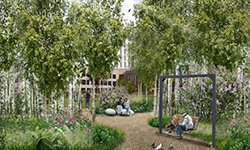 Зеленый город будущего